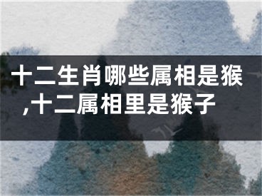 十二生肖哪些属相是猴,十二属相里是猴子