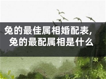 兔的最佳属相婚配表,兔的最配属相是什么