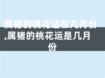 属猪的桃花运在几月份,属猪的桃花运是几月份
