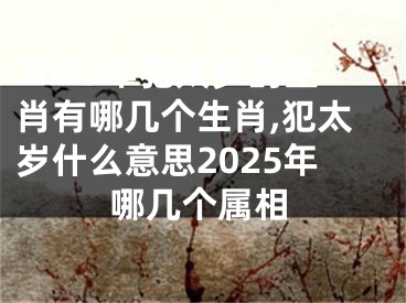 2025年犯太岁的生肖有哪几个生肖,犯太岁什么意思2025年哪几个属相