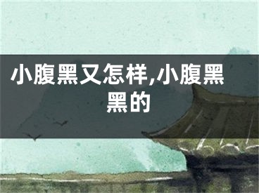 小腹黑又怎样,小腹黑黑的