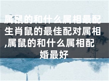 属鼠的和什么属相最配生肖鼠的最佳配对属相,属鼠的和什么属相配婚最好