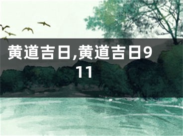 黄道吉日,黄道吉日911