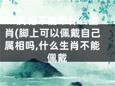 12属相不能带什么生肖(脚上可以佩戴自己属相吗,什么生肖不能佩戴