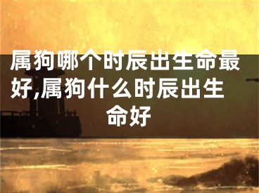 属狗哪个时辰出生命最好,属狗什么时辰出生命好