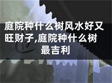 庭院种什么树风水好又旺财子,庭院种什么树最吉利