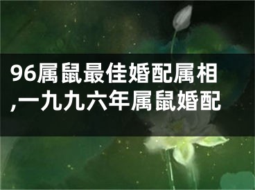 96属鼠最佳婚配属相,一九九六年属鼠婚配