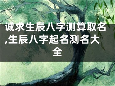 诚求生辰八字测算取名,生辰八字起名测名大全