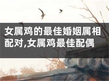 女属鸡的最佳婚姻属相配对,女属鸡最佳配偶