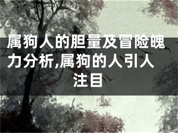 属狗人的胆量及冒险魄力分析,属狗的人引人注目