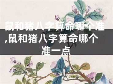 鼠和猪八字算命哪个准,鼠和猪八字算命哪个准一点
