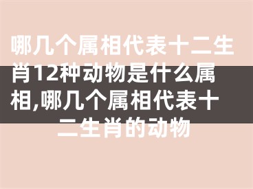 哪几个属相代表十二生肖12种动物是什么属相,哪几个属相代表十二生肖的动物