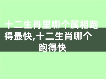 十二生肖里哪个属相跑得最快,十二生肖哪个跑得快