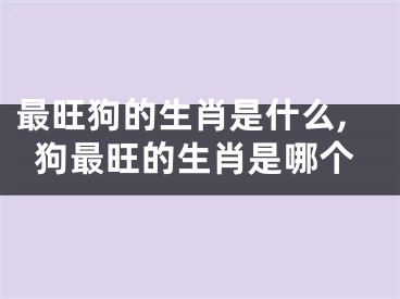 最旺狗的生肖是什么,狗最旺的生肖是哪个