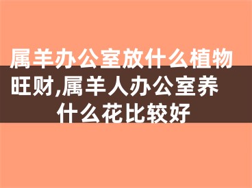 属羊办公室放什么植物旺财,属羊人办公室养什么花比较好