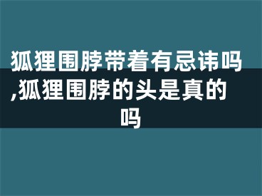 狐狸围脖带着有忌讳吗,狐狸围脖的头是真的吗