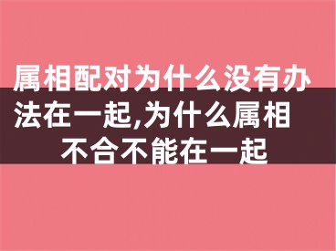属相配对为什么没有办法在一起,为什么属相不合不能在一起