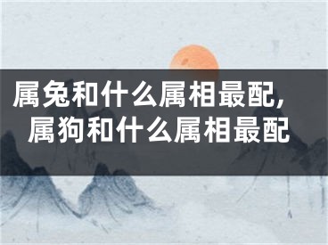 属兔和什么属相最配,属狗和什么属相最配