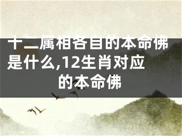 十二属相各自的本命佛是什么,12生肖对应的本命佛