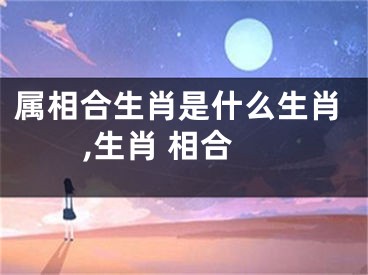 属相合生肖是什么生肖,生肖 相合