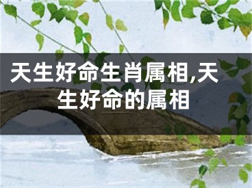 天生好命生肖属相,天生好命的属相