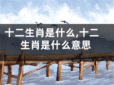 十二生肖是什么,十二生肖是什么意思