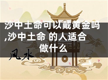 沙中土命可以戴黄金吗,沙中土命 的人适合做什么