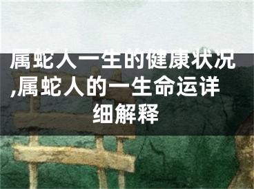 属蛇人一生的健康状况,属蛇人的一生命运详细解释