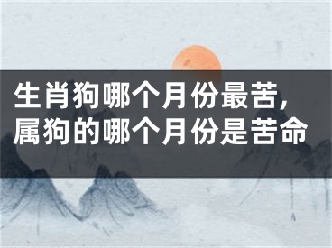 生肖狗哪个月份最苦,属狗的哪个月份是苦命