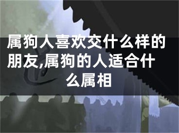 属狗人喜欢交什么样的朋友,属狗的人适合什么属相