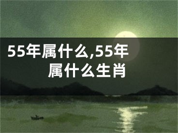 55年属什么,55年属什么生肖