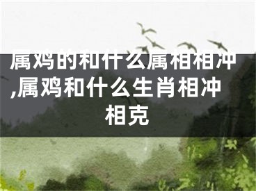 属鸡的和什么属相相冲,属鸡和什么生肖相冲相克