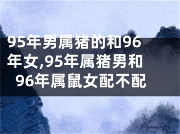95年男属猪的和96年女,95年属猪男和96年属鼠女配不配