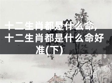 十二生肖都是什么命,十二生肖都是什么命好准(下)