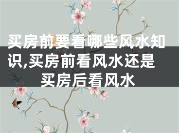 买房前要看哪些风水知识,买房前看风水还是买房后看风水
