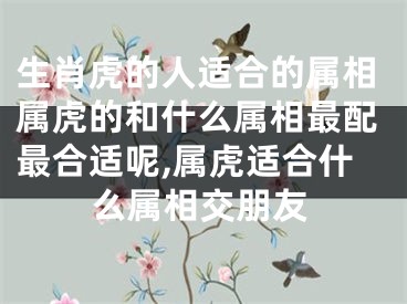 生肖虎的人适合的属相属虎的和什么属相最配最合适呢,属虎适合什么属相交朋友
