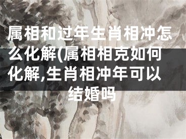 属相和过年生肖相冲怎么化解(属相相克如何化解,生肖相冲年可以结婚吗