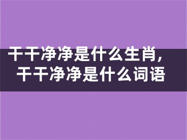 干干净净是什么生肖,干干净净是什么词语