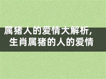 属猪人的爱情大解析,生肖属猪的人的爱情