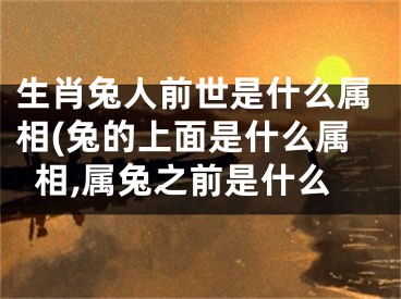 生肖兔人前世是什么属相(兔的上面是什么属相,属兔之前是什么