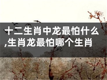 十二生肖中龙最怕什么,生肖龙最怕哪个生肖