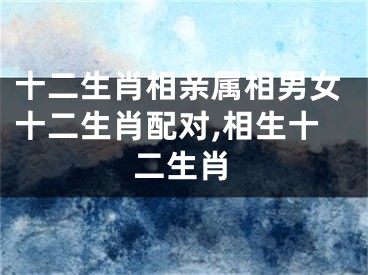 十二生肖相亲属相男女十二生肖配对,相生十二生肖