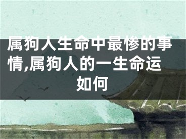 属狗人生命中最惨的事情,属狗人的一生命运如何