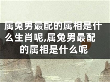 属兔男最配的属相是什么生肖呢,属兔男最配的属相是什么呢