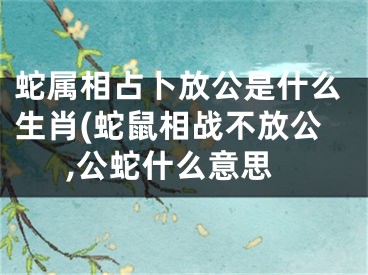 蛇属相占卜放公是什么生肖(蛇鼠相战不放公,公蛇什么意思