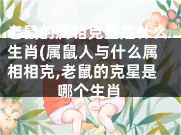 老鼠的属相克星是什么生肖(属鼠人与什么属相相克,老鼠的克星是哪个生肖