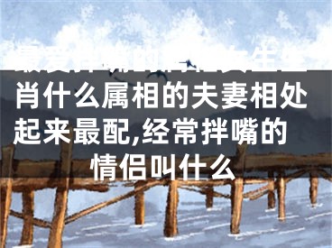 最爱拌嘴的属相女生生肖什么属相的夫妻相处起来最配,经常拌嘴的情侣叫什么