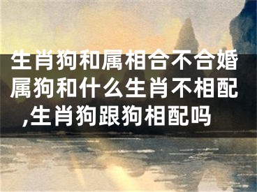 生肖狗和属相合不合婚属狗和什么生肖不相配,生肖狗跟狗相配吗