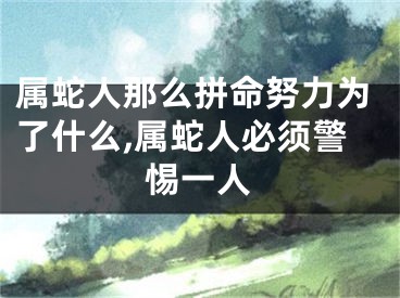 属蛇人那么拼命努力为了什么,属蛇人必须警惕一人