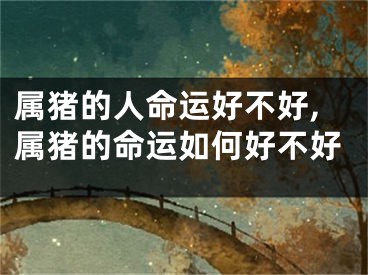 属猪的人命运好不好,属猪的命运如何好不好